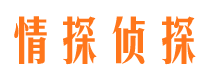 东洲市私家侦探